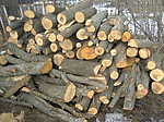 купити дрова метровий кругляк дуб граб ясен Луцьк