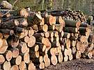 Придбайте метрові дрова за ціною виробника Луцьк Ківерці Рожище